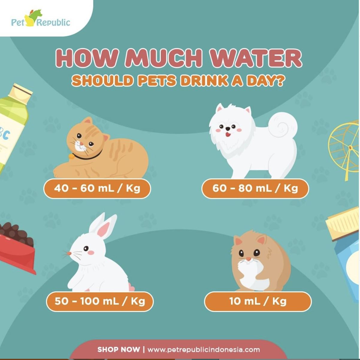 Berapa Banyak Kucing Perlu Minum Dalam 1 Hari ?