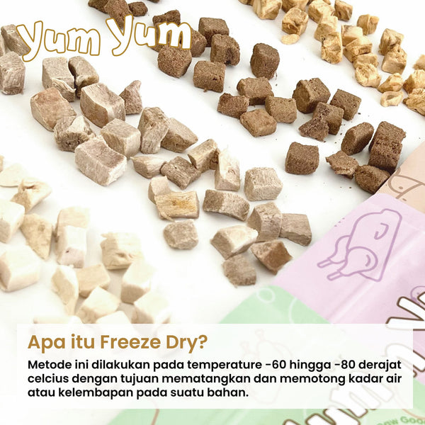 YUMYUM Snack Anjing Kucing Freeze Dried Beef 50g Dog Snack Pet Republic Indonesia 