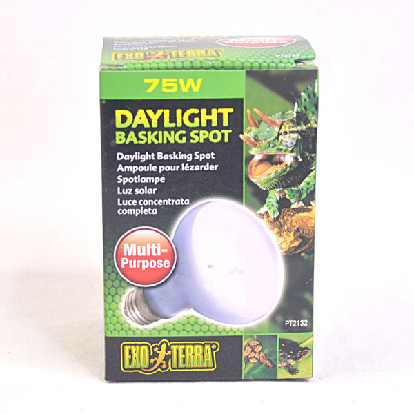 EXOTERRA Daylight Basking Spot 75W Reptile Heating & Lighting Exoterra 