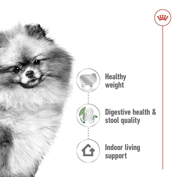 ROYALCANIN Mini Anjing Mini Indoor Adult 1,5kg