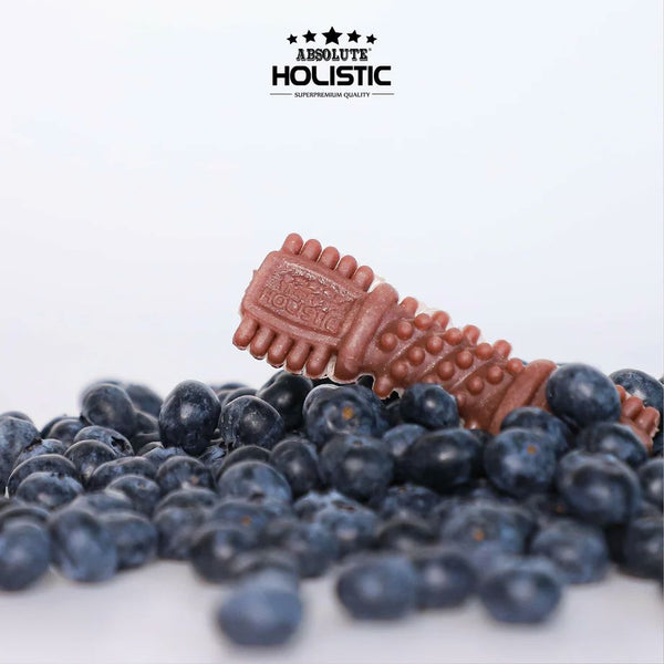 ABSOLUTE Holistic Snack Anjing Dental Chew Blueberry 160g Dog Dental Snack Tidak ada merek 