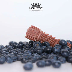 ABSOLUTE Holistic Snack Anjing Dental Chew Blueberry 25gr 1pcs Dog Dental Snack Tidak ada merek 
