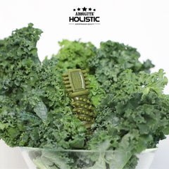 ABSOLUTE Holistic Snack Anjing Dental Chew Kale 25gr 1pcs Dog Dental Snack Tidak ada merek 