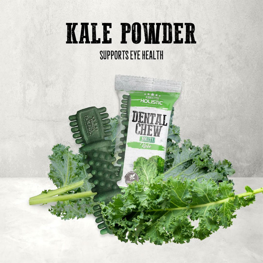 ABSOLUTE Holistic Snack Anjing Dental Chew Kale 25gr 1pcs Dog Dental Snack Tidak ada merek 