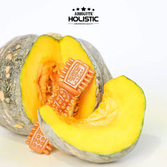 ABSOLUTE Holistic Snack Anjing Dental Chew Pumpkin 160g Dog Dental Snack Absolute Holistic 