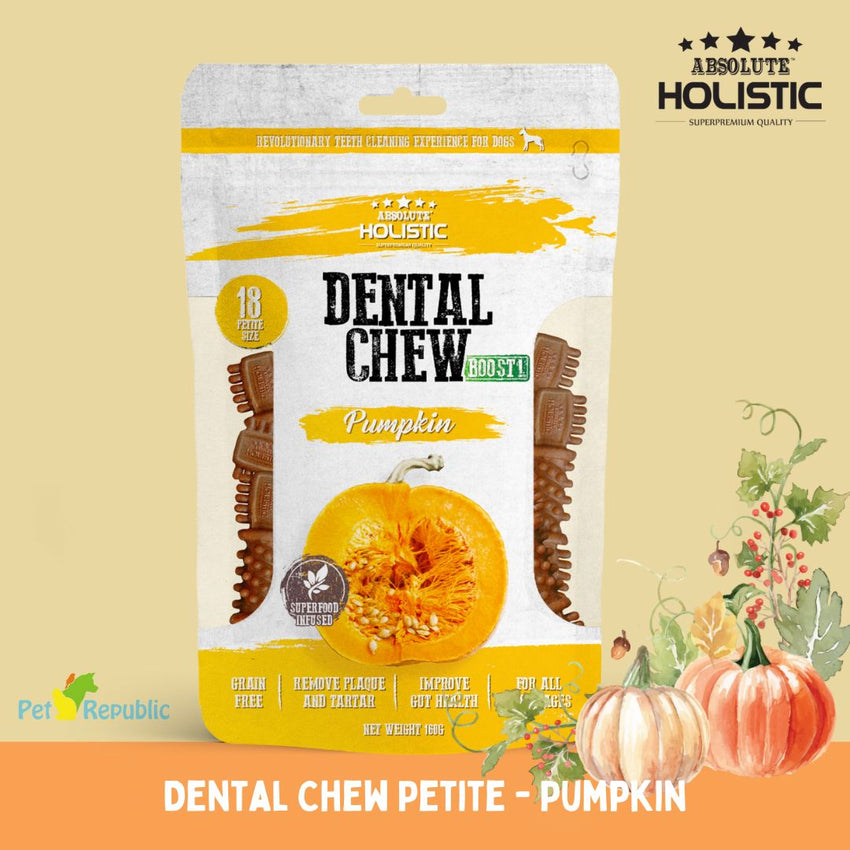 ABSOLUTE Holistic Snack Anjing Dental Chew Pumpkin 160g Dog Dental Snack Absolute Holistic 