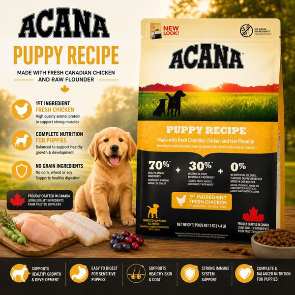 ACANA Makanan Anjing Puppy Recipe 2kg Dog Food Dry Tidak ada merek 