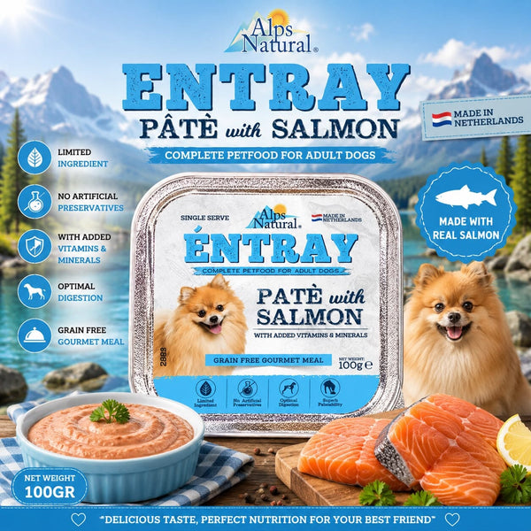 ALPSNATURAL Makanan Anjing Entray Pate with Salmon 100gr no type Tidak ada merek 