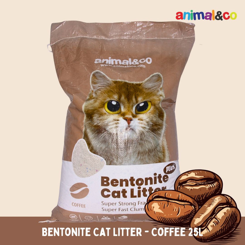 ANIMALCO Pasir Kucing Bentonite Cat Litter Rasa Coffee 25L Cat Sanitation Tidak ada merek 