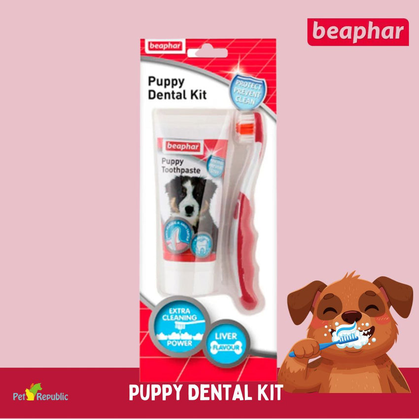 BEAPHAR Pasta Gigi Anakan Puppy Dental Kit no type Tidak ada merek 