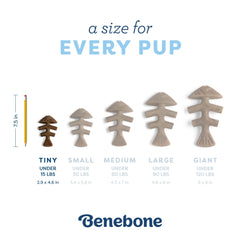 BENEBONE Mainan Anjing Puppy Pack Fishbone Dog Toy Tidak ada merek 