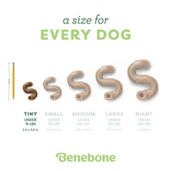 BENEBONE Mainan Anjing Tiny Pack Tripe Bone Dog Toy Tidak ada merek 