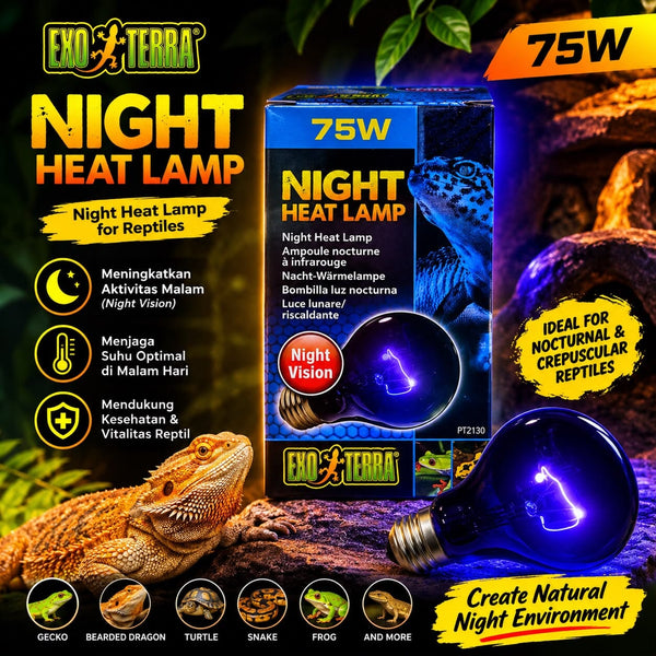 BLIBLI EXOTERRA Lampu Reptil Night Glo Moonlight Round 75W no type Tidak ada merek 
