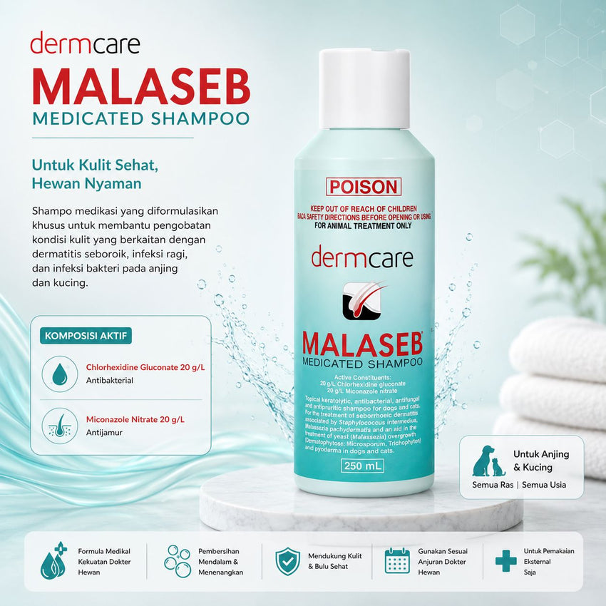 DERMACARE Shampoo Jamur Anjing Kucing Malaseb Medicated Shampoo 250ml no type Tidak ada merek 
