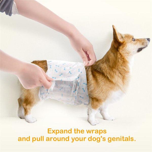 DONO Disposable Male Diaper Dog Sanitation Dono 