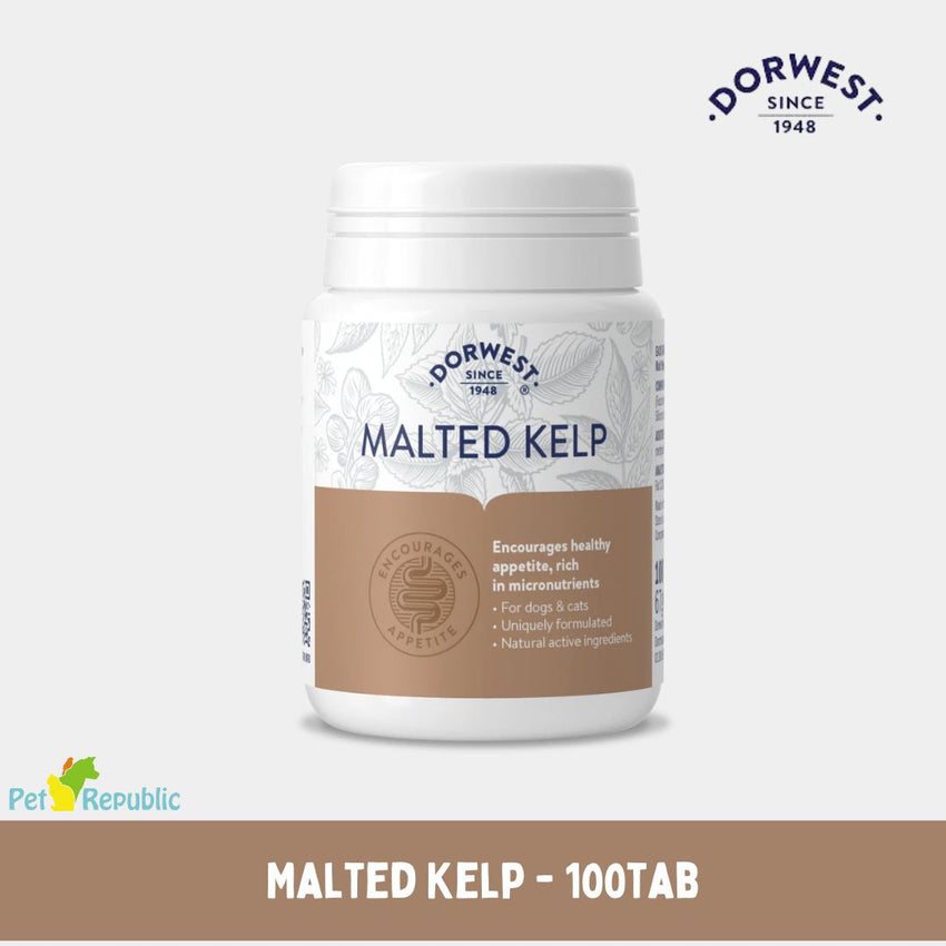 DORWEST Penambah Nabsu Makan Malted KELP 100tabs no type Tidak ada merek 