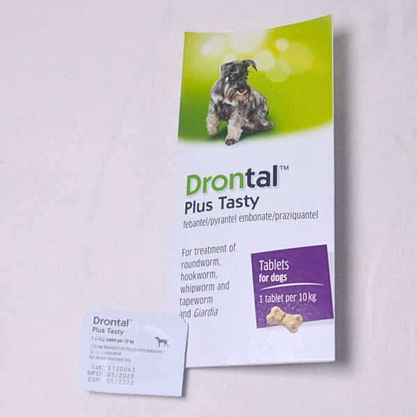 DRONTAL Plus TASTY Obat Cacing Anjing 1pcs no type bayer 
