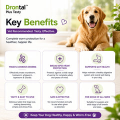 DRONTAL Plus TASTY Obat Cacing Anjing 1pcs no type Tidak ada merek 