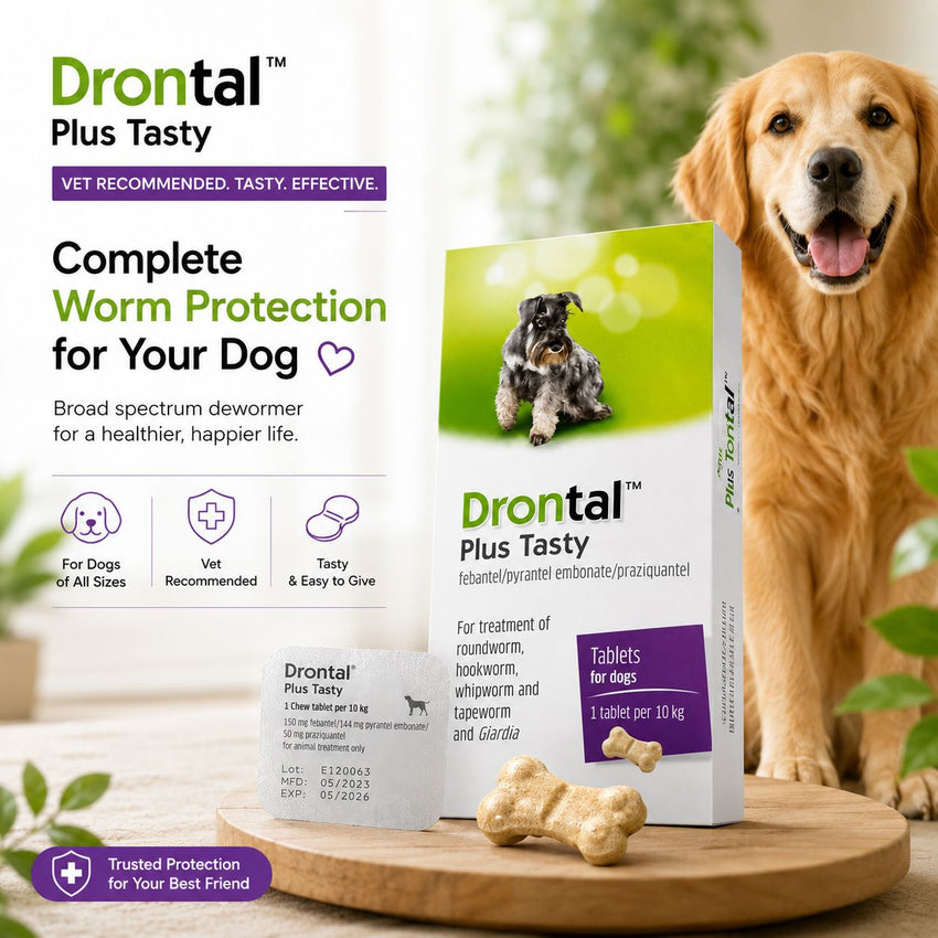 DRONTAL Plus TASTY Obat Cacing Anjing 1pcs no type Tidak ada merek 
