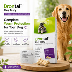 DRONTAL Plus TASTY Obat Cacing Anjing 1pcs no type Tidak ada merek 