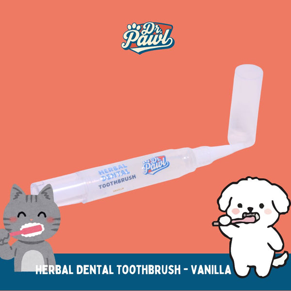 DRPAWL Sikat Gigi Anjing Kucing Herbal Dental Gel Stick Vanilla 5ml Grooming Pet Care Drpawl 