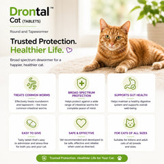 ELANCO Pembasmi Cacing Kucing Drontal For Cat 1tablet no type NoBrand 