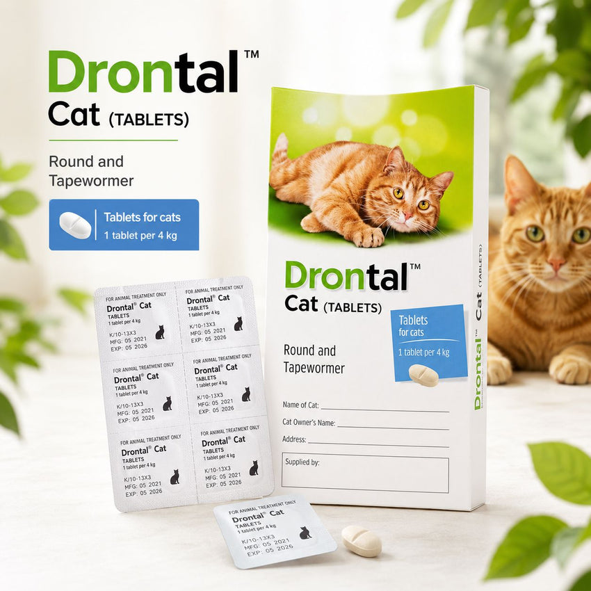 ELANCO Pembasmi Cacing Kucing Drontal For Cat 1tablet no type NoBrand 