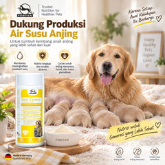 FORTAN Menambah Air Susu Anjing Rein Casein 300gram no type Tidak ada merek 