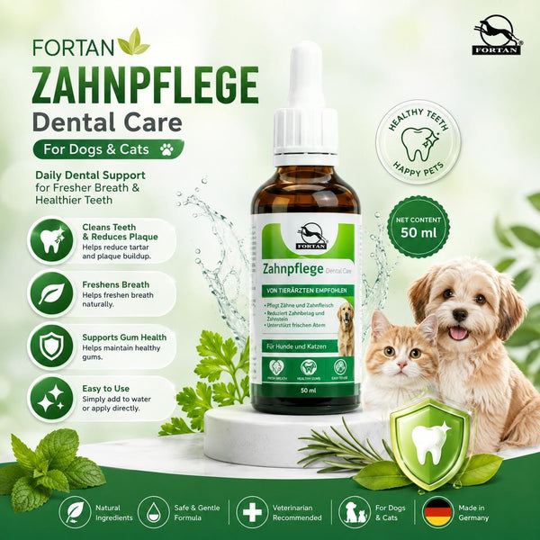 FORTAN Perawatan Gigi ZAHNPFLEGE Dental Care 50ml no type Tidak ada merek 