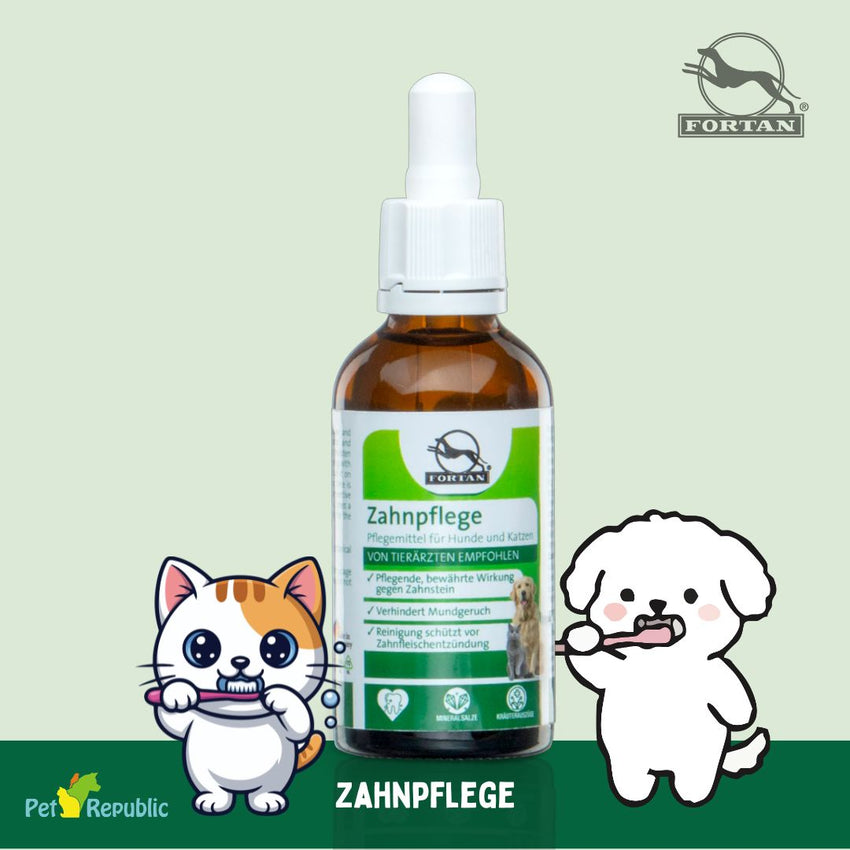 FORTAN Perawatan Gigi ZAHNPFLEGE Dental Care 50ml no type Tidak ada merek 