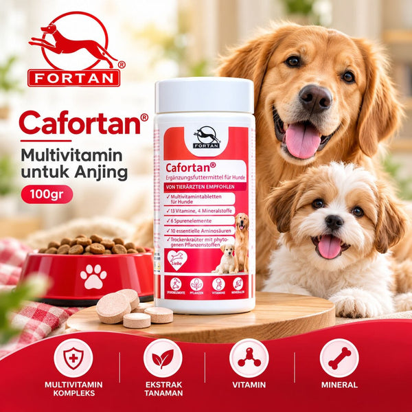 FORTAN Vitamin Anjing Multivitamin Cafortan 100gr no type Tidak ada merek 