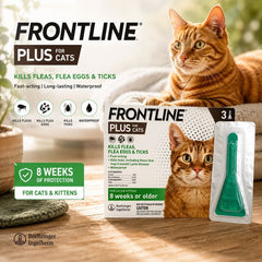 FRONTLINE Plus Obat Kutu Kucing Flea and Tick Drop for Cat 1pcs no type Tidak ada merek 