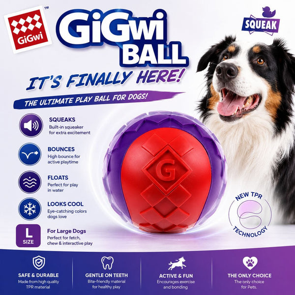 GIGWI Mainan Anjing Ball With Squeaker Solid Red Purple L Dog Toy Tidak ada merek 