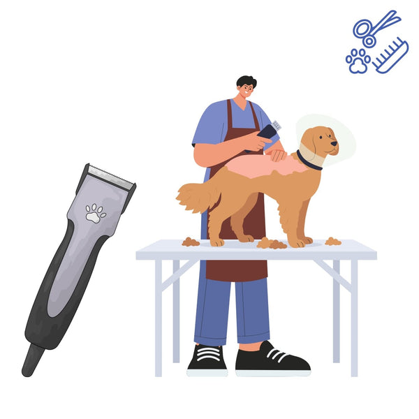 Grooming Facility ADD ON Clip Down ( Additional To Basic Grooming ) Pet Republic Indonesia 