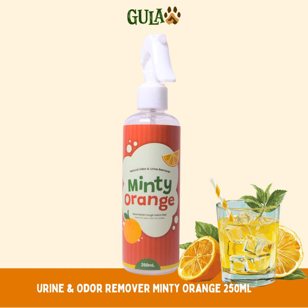 GULAPAWS Penghilang Bau Urine and Odor Remover Minty Orange 250ml Dog Sanitation Gulapaws 