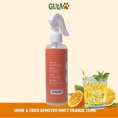 GULAPAWS Penghilang Bau Urine and Odor Remover Minty Orange 250ml Dog Sanitation Gulapaws 