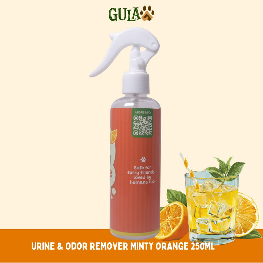 GULAPAWS Penghilang Bau Urine and Odor Remover Minty Orange 250ml Dog Sanitation Gulapaws 