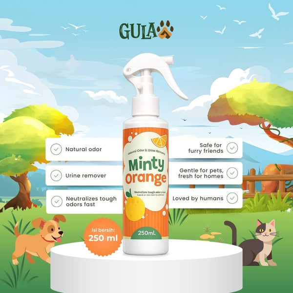 GULAPAWS Penghilang Bau Urine and Odor Remover Minty Orange 250ml Dog Sanitation Tidak ada merek 