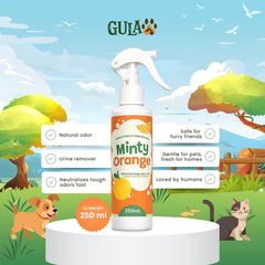 GULAPAWS Penghilang Bau Urine and Odor Remover Minty Orange 250ml Dog Sanitation Tidak ada merek 