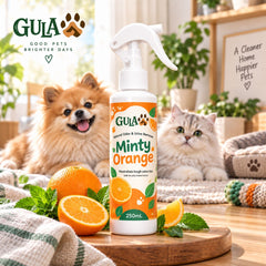 GULAPAWS Penghilang Bau Urine and Odor Remover Minty Orange 250ml Dog Sanitation Tidak ada merek 