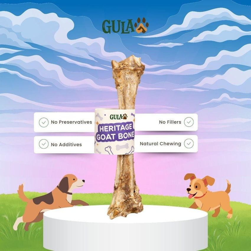 GULAPAWS Snack Anjing Heritage Goat Bone Dog Snack Gulapaws 
