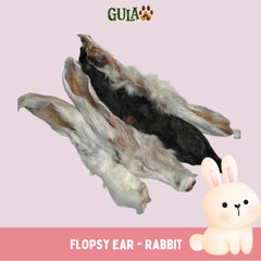 GULAPAWS Snack Anjing Kucing Rabbit Flopzy Ear 5pcs no type Tidak ada merek 