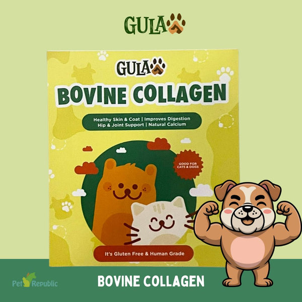 GULAPAWS Vitamin Anjing Kucing Bovine Collagen Travel Pack 5gr Pet Vitamin & Supplement Gulapaws 