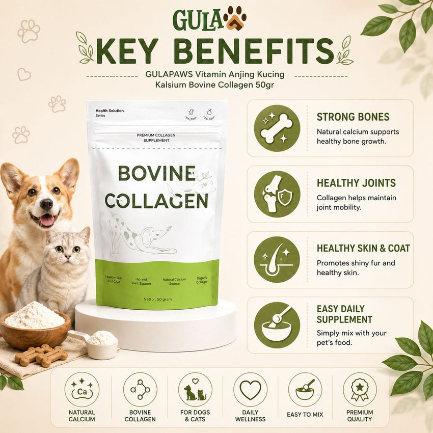 GULAPAWS Vitamin Anjing Kucing Kalsium Bovine Collagen 50gr no type Tidak ada merek 