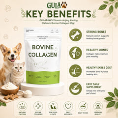 GULAPAWS Vitamin Anjing Kucing Kalsium Bovine Collagen 50gr no type Tidak ada merek 
