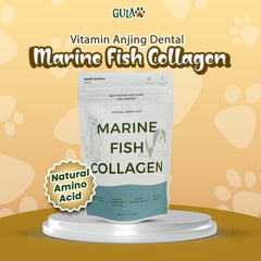 GULAPAWS Vitamin Anjing Kucing Marine Fish Collagen 50gr no type NoBrand 