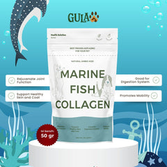 GULAPAWS Vitamin Anjing Kucing Marine Fish Collagen 50gr no type NoBrand 