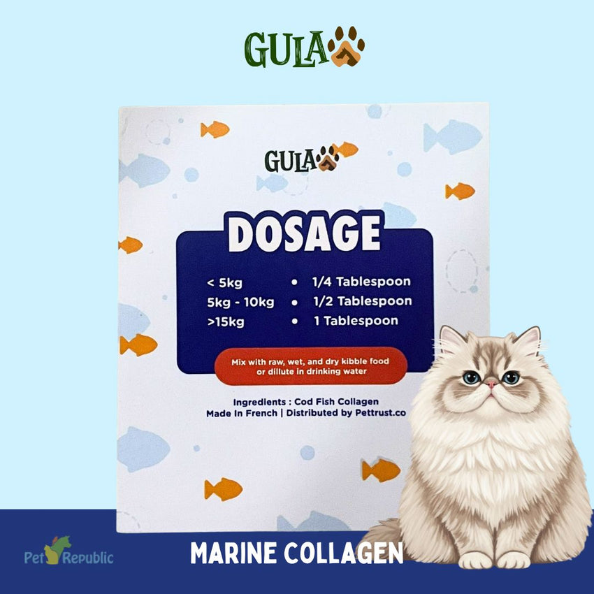 GULAPAWS Vitamin Anjing Kucing Marine Fish Collagen Travel 5gr Pet Vitamin & Supplement Gulapaws 