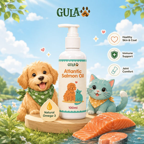 GULAPAWS Vitamin Anjing Kucing Salmon Oil 100ml no type Tidak ada merek 