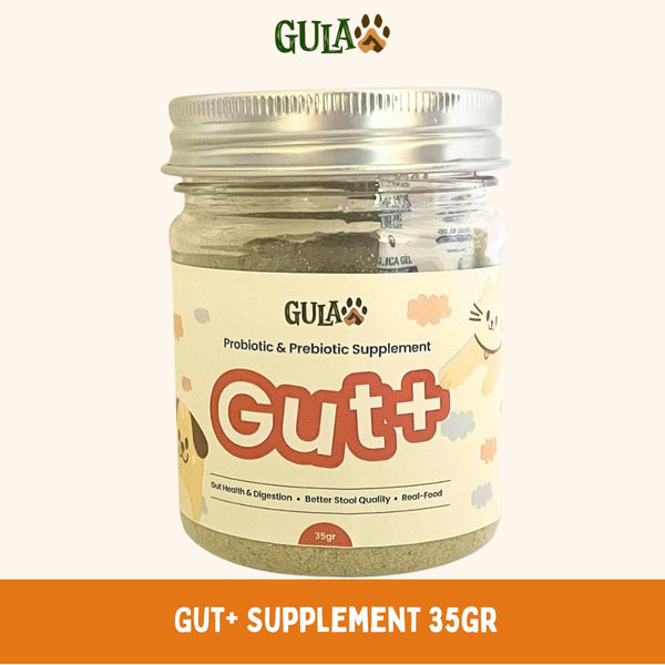GULAPAWS Vitamin Pencernaan Anjing Kucing Probiotic Gut+ 35gr Pet Vitamin & Supplement Gulapaws 
